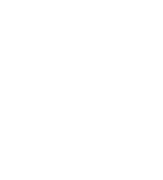 Lion Symbol (White)